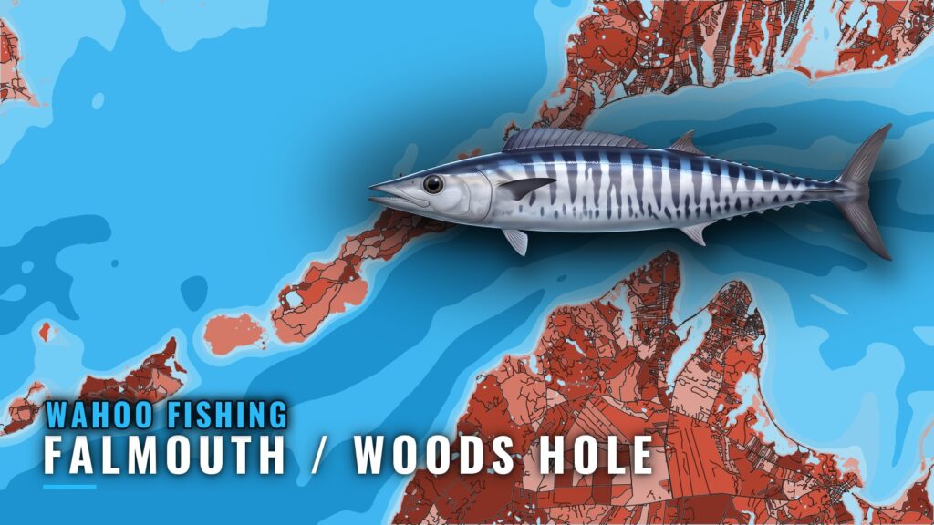 Wahoo Fishing out of Falmouth / Woods Hole: Canyon Guide