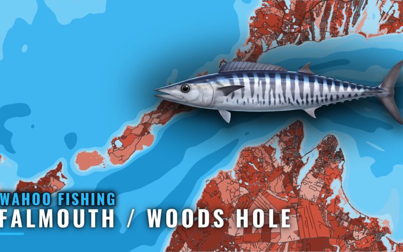 Wahoo Fishing out of Falmouth / Woods Hole: Canyon Guide