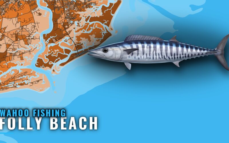 Wahoo Fishing Out of Folly Beach: The Run Offshore