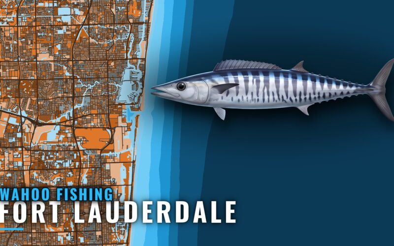Wahoo Fishing Out of Fort Lauderdale: Grounds and Season