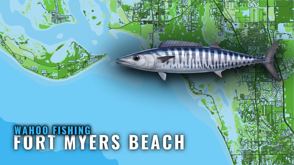 Wahoo Fishing Out of Fort Myers Beach: Grounds and GPS