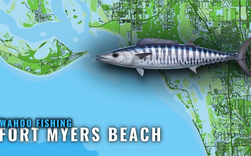 Wahoo Fishing Out of Fort Myers Beach: Grounds and GPS
