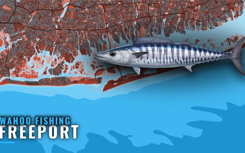 Wahoo Fishing Out of Freeport, New York: Season and Run
