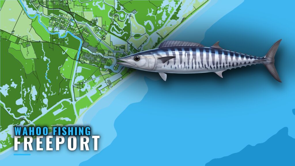 Wahoo Fishing Out of Freeport, Texas: Runs, Grounds, Boats
