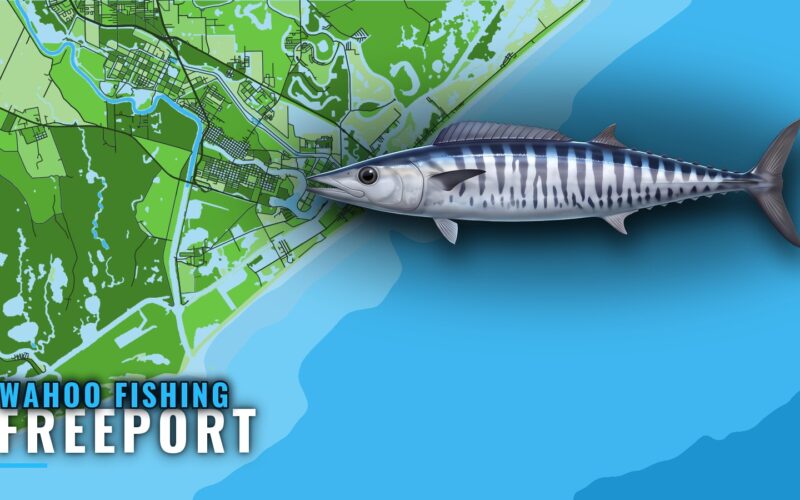 Wahoo Fishing Out of Freeport, Texas: Runs, Grounds, Boats