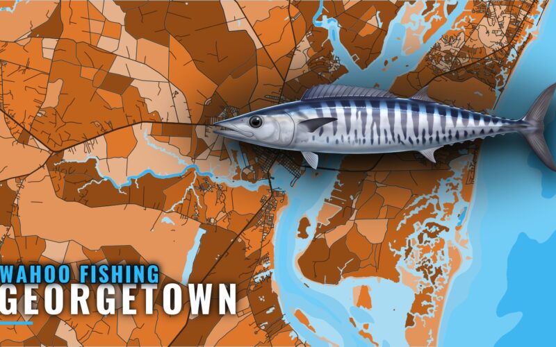 Wahoo Fishing Out of Georgetown, SC: Season, Edges, Reefs