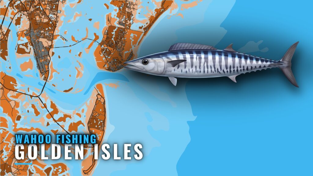 Wahoo Fishing Out of Golden Isles: Reefs, Run and Method