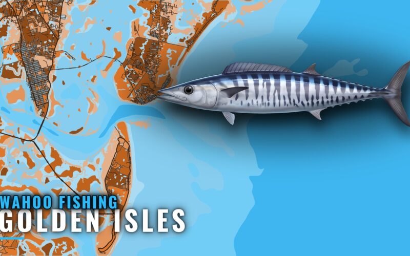 Wahoo Fishing Out of Golden Isles: Reefs, Run and Method