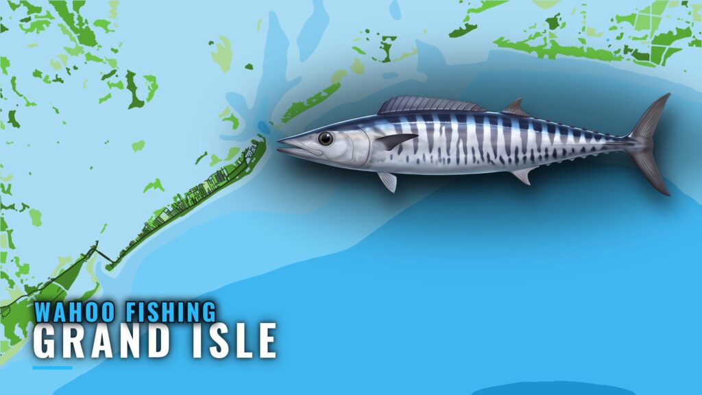 Wahoo Fishing Out of Grand Isle: Grounds, Depths, Bearings