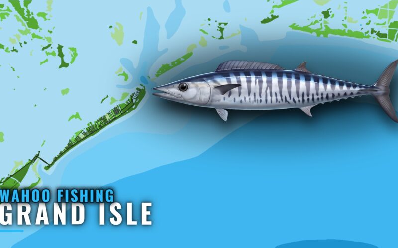 Wahoo Fishing Out of Grand Isle: Grounds, Depths, Bearings