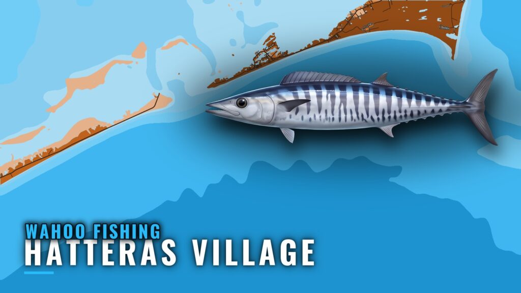 Wahoo Fishing Out of Hatteras Village: When, Where, How