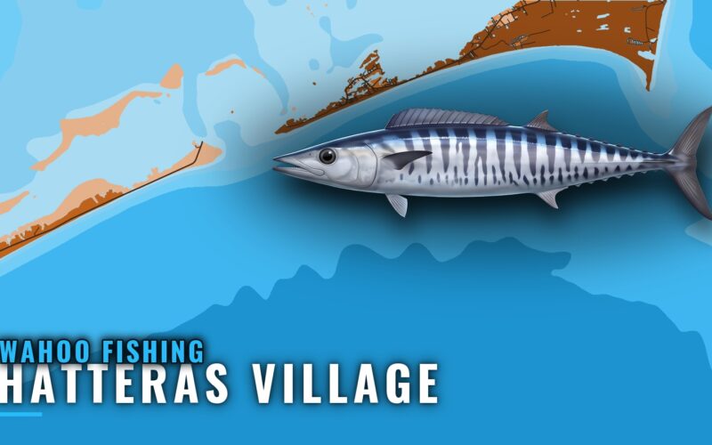 Wahoo Fishing Out of Hatteras Village: When, Where, How