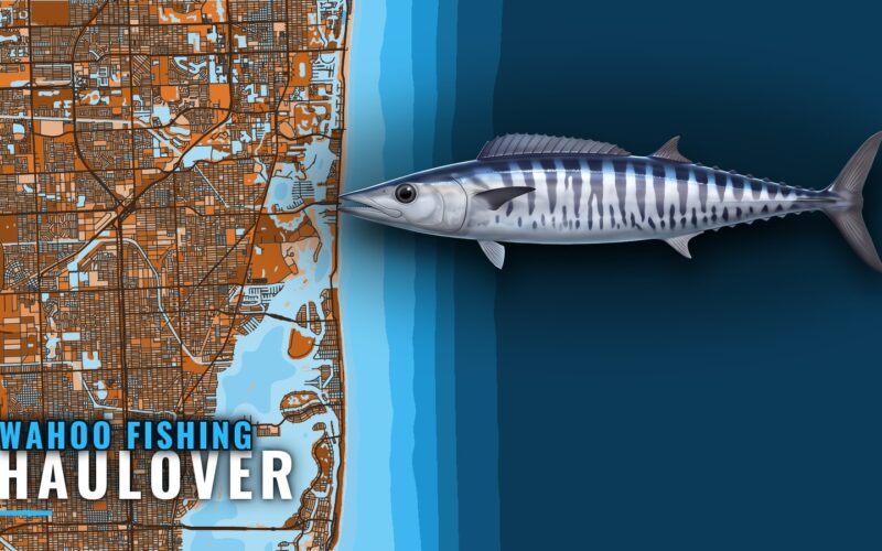 Wahoo Fishing Out of Haulover: Grounds, Depths and Run