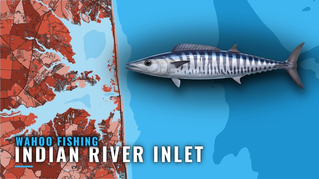 Wahoo Fishing out of Indian River Inlet: Runs and Grounds