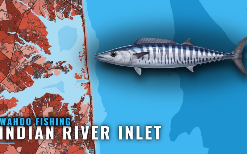 Wahoo Fishing out of Indian River Inlet: Runs and Grounds