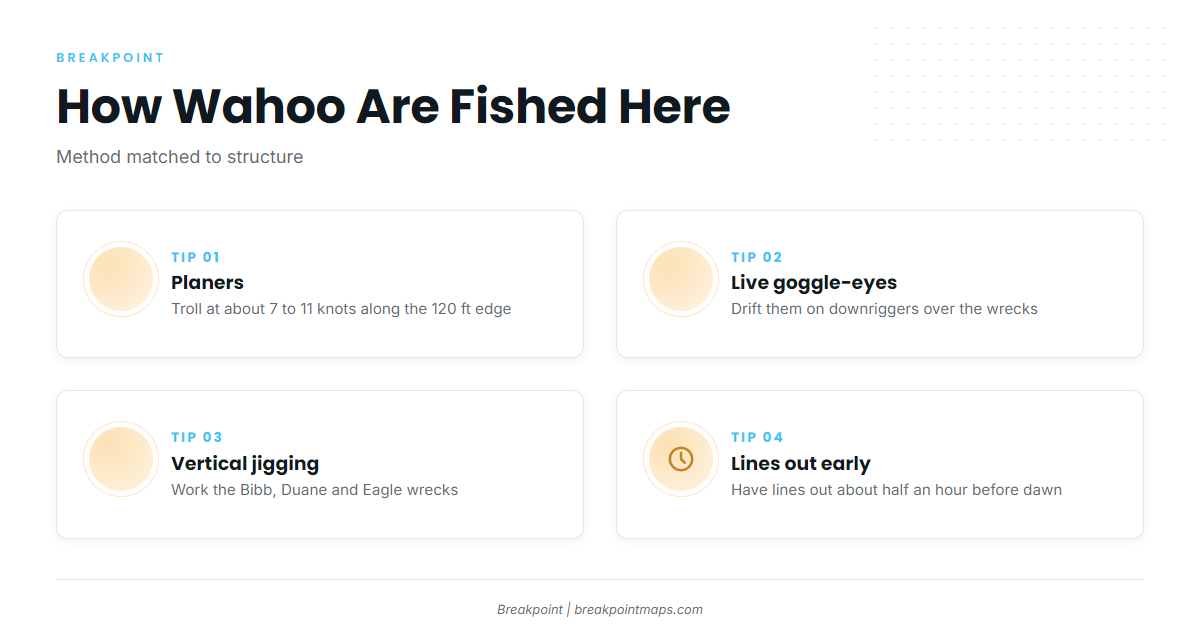 How wahoo are fished out of Islamorada