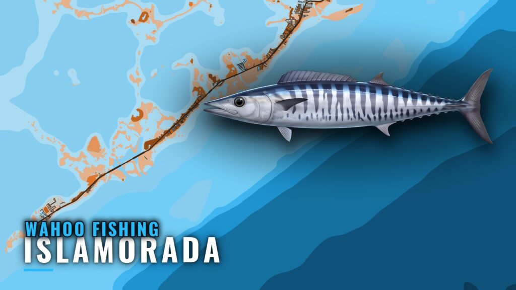 Wahoo Fishing Out of Islamorada: Where, When and How