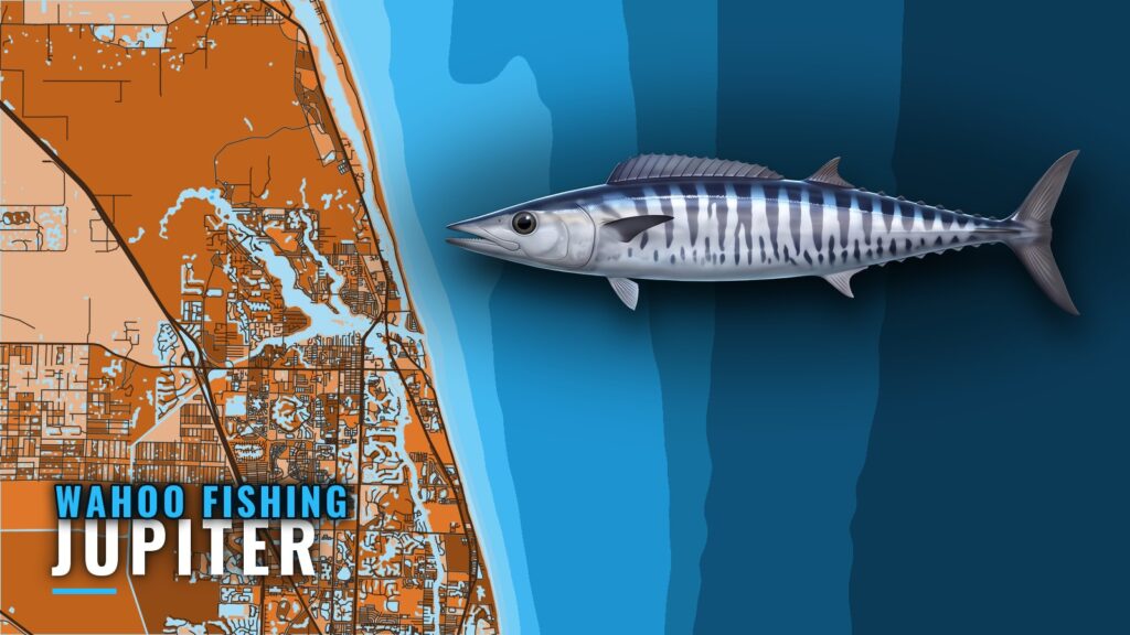Wahoo Fishing Out of Jupiter: Depths, Grounds and Methods