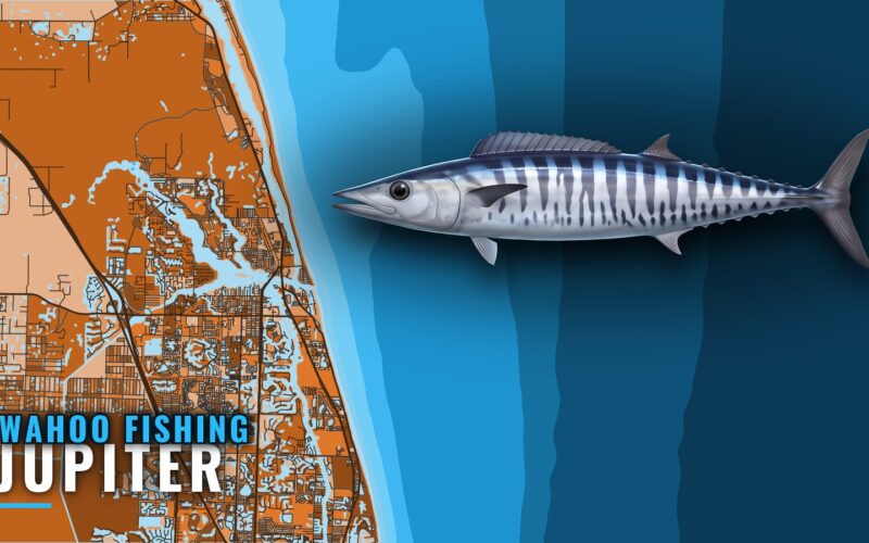 Wahoo Fishing Out of Jupiter: Depths, Grounds and Methods