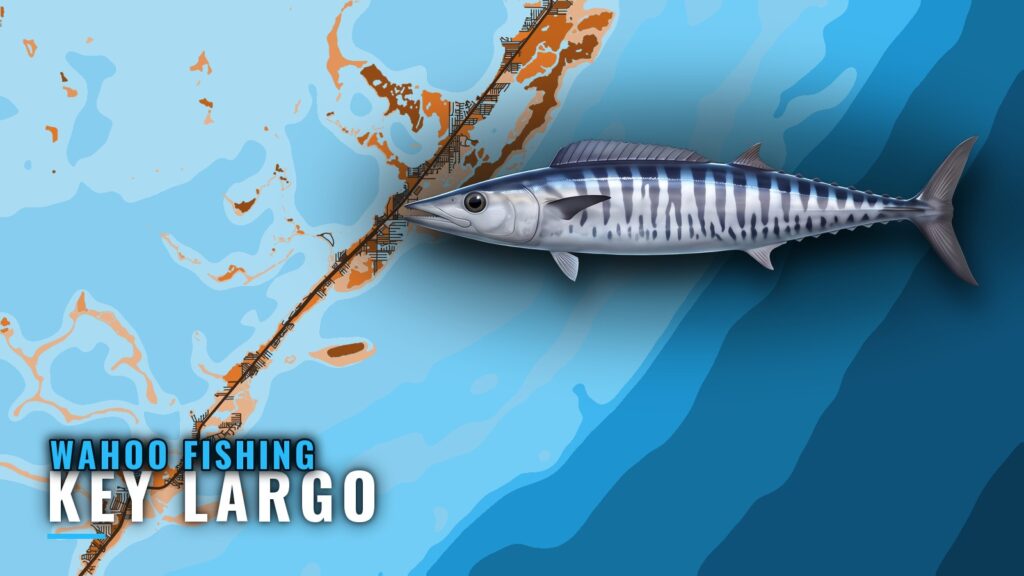 Wahoo Fishing out of Key Largo: Wrecks, Depths and Rules