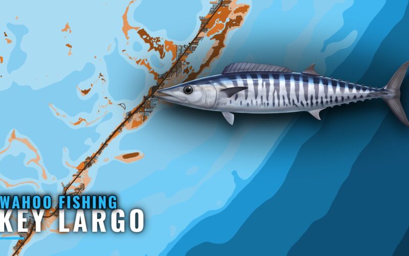 Wahoo Fishing out of Key Largo: Wrecks, Depths and Rules
