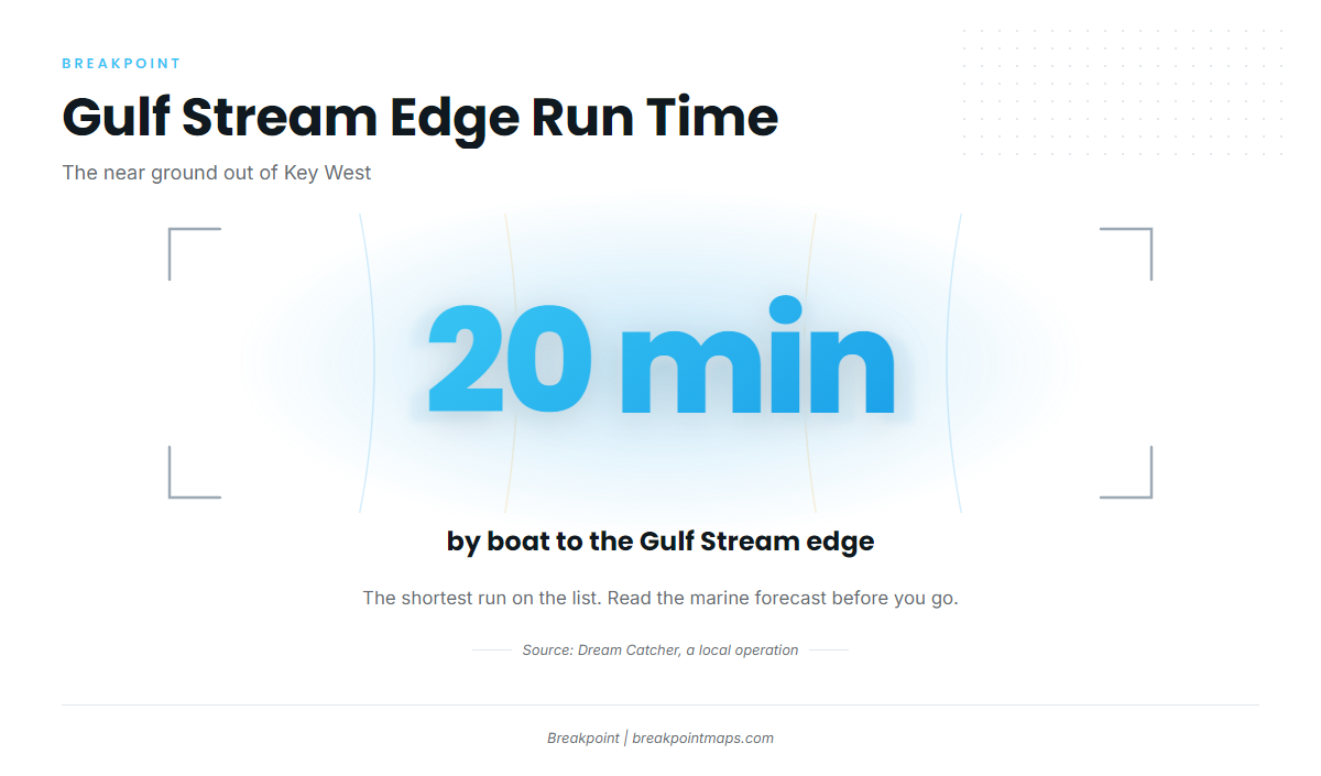 The Gulf Stream edge