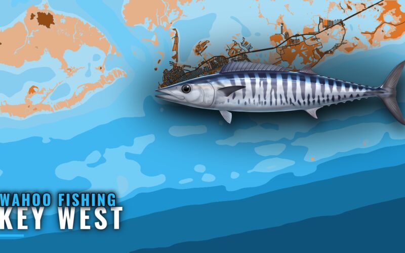 Wahoo Fishing Out of Key West: Grounds, Runs and Events