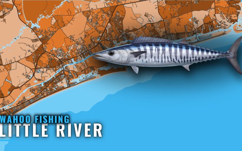 Wahoo Fishing Out of Little River: Grounds, Runs, Methods