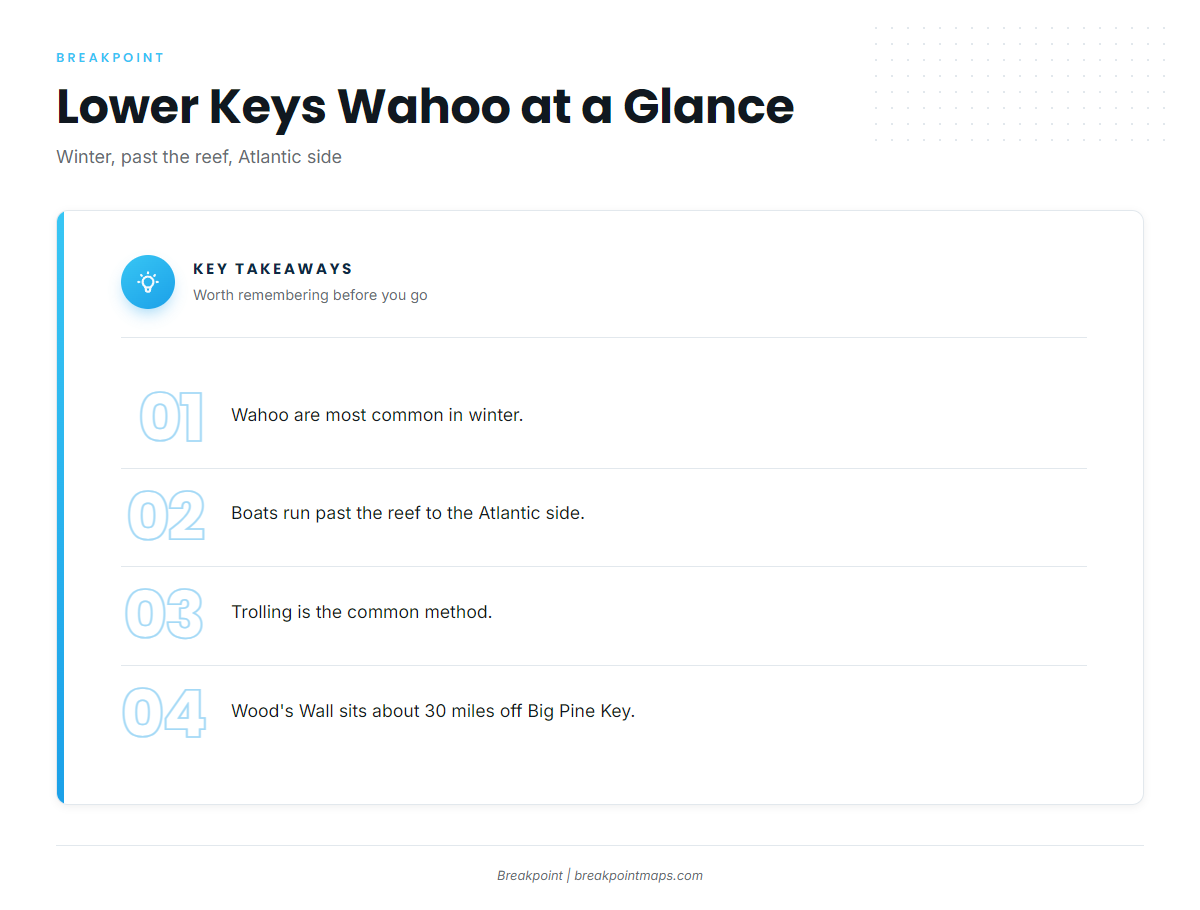 Wahoo out of the Lower Keys at a glance