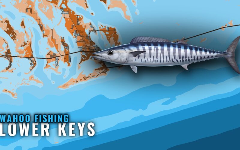 Wahoo Fishing out of the Lower Keys: Grounds, Season, Runs