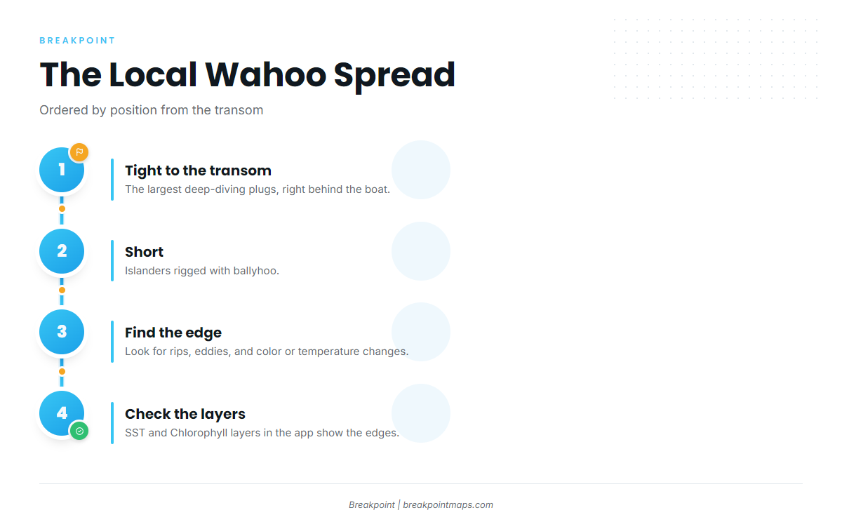 How Wahoo Are Fished Here