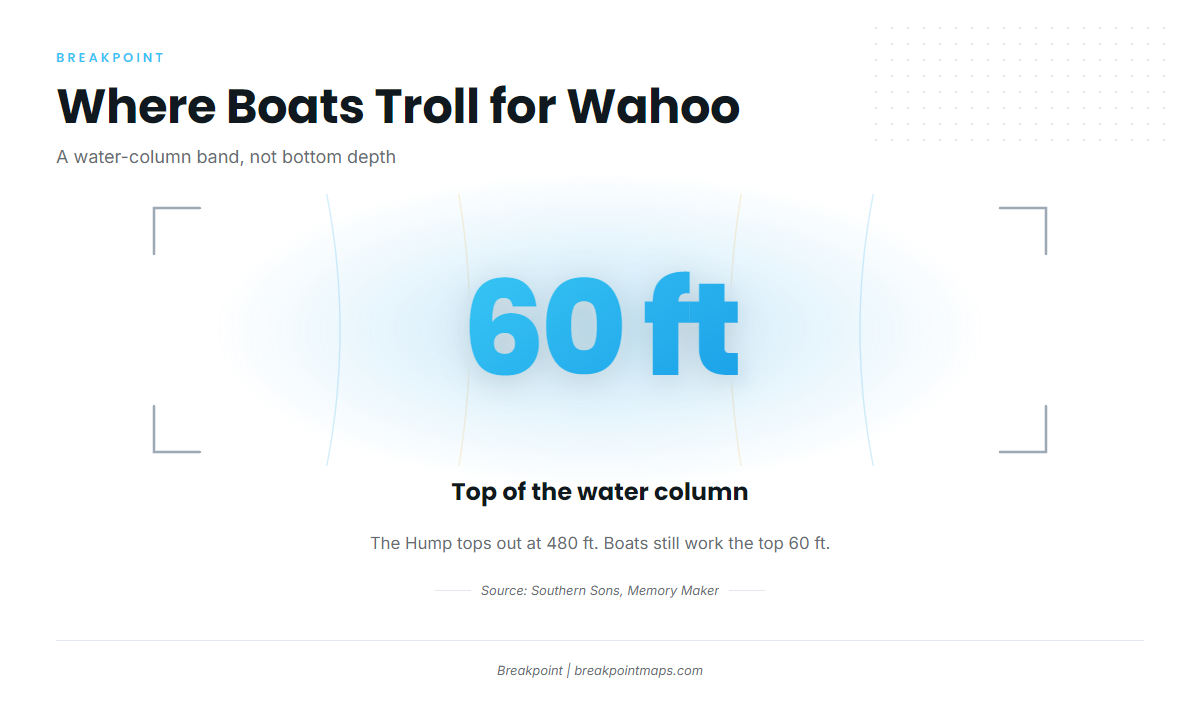 How wahoo are fished out of Marathon