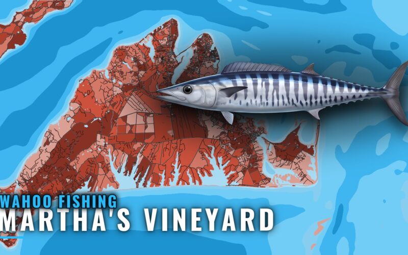 Wahoo Fishing Out of Martha’s Vineyard: Season and Canyons