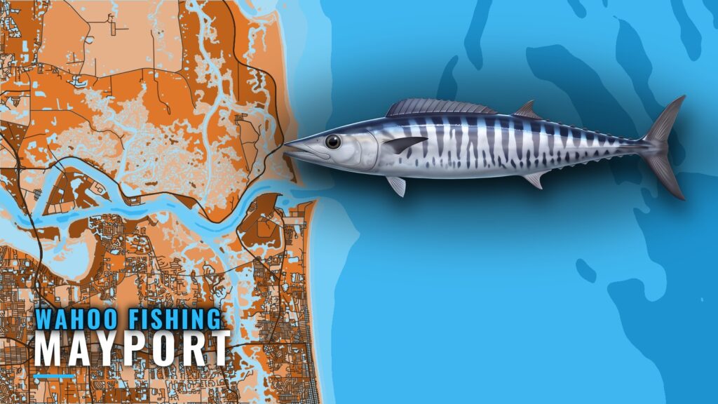 Wahoo Fishing Out of Mayport: Dry Dock, Reefs and Depths