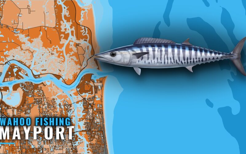 Wahoo Fishing Out of Mayport: Dry Dock, Reefs and Depths