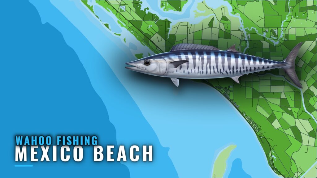 Wahoo Fishing Out of Mexico Beach: A Port Brief