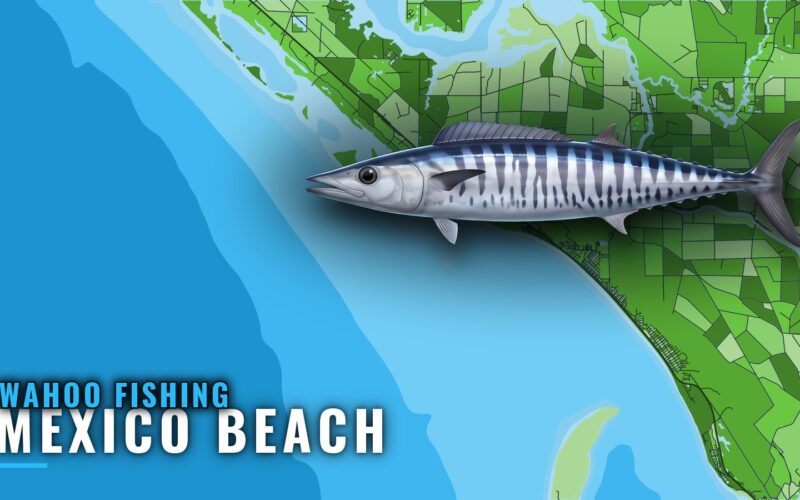 Wahoo Fishing Out of Mexico Beach: A Port Brief