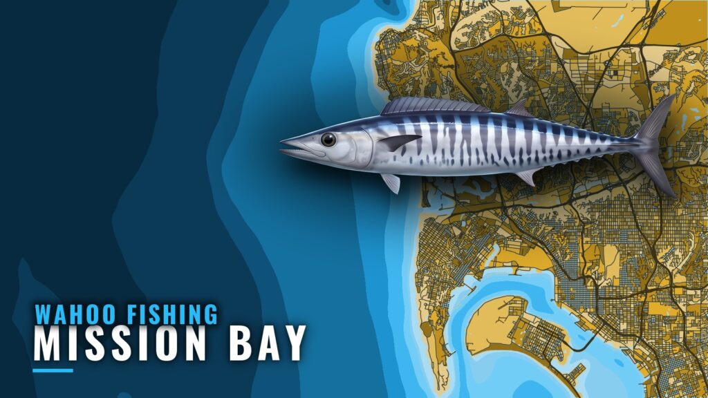 Wahoo Fishing out of Mission Bay: Where Boats Run