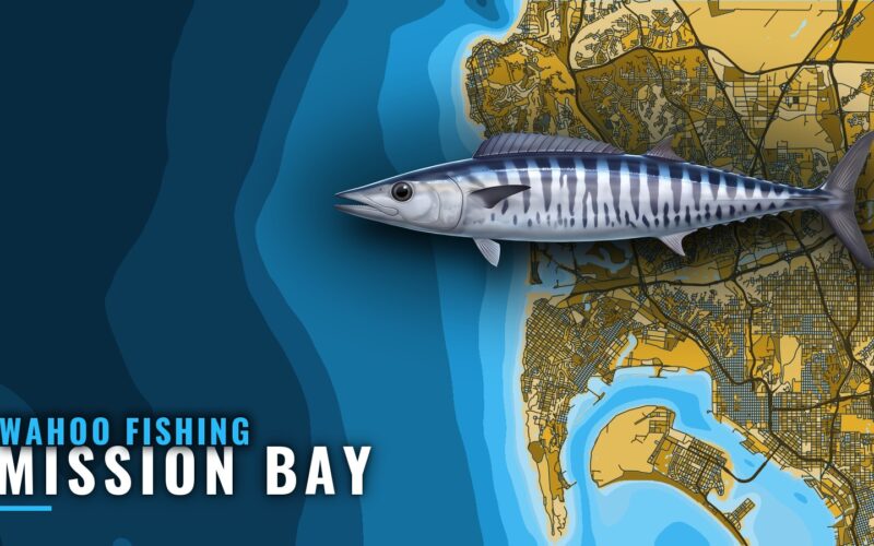 Wahoo Fishing out of Mission Bay: Where Boats Run