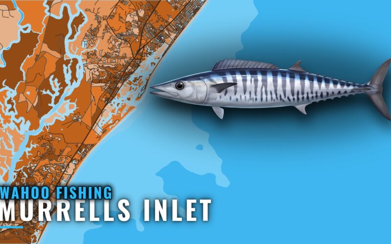 Wahoo Fishing Out of Murrells Inlet: Run, Ledges and Spread