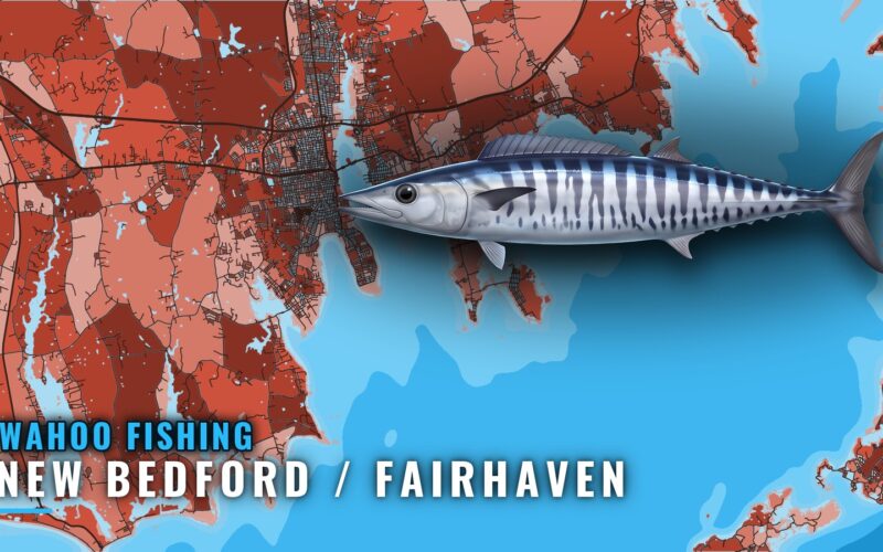 Wahoo Fishing out of New Bedford / Fairhaven: The Long Run