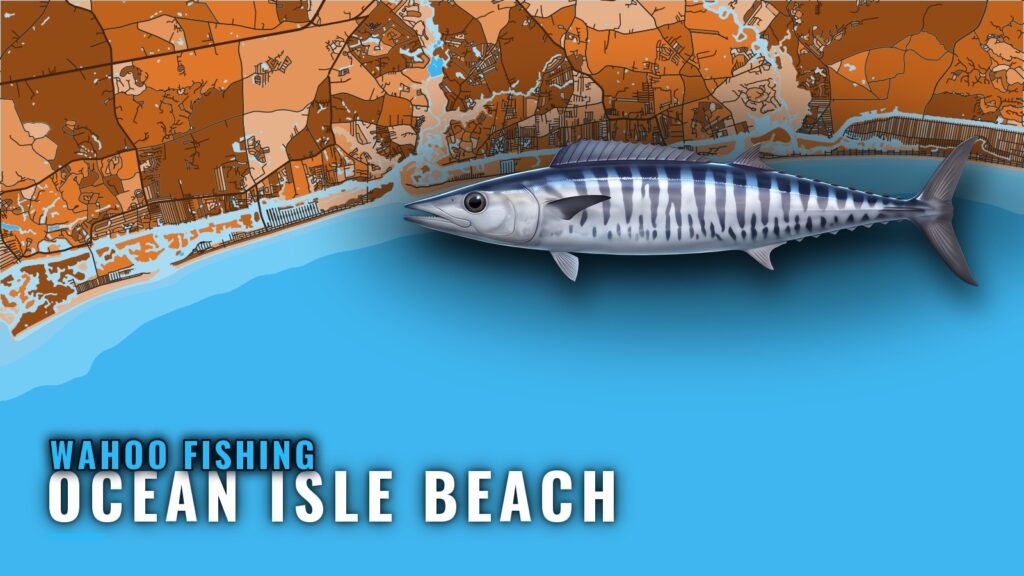 Wahoo Fishing Out of Ocean Isle Beach: Season and Grounds