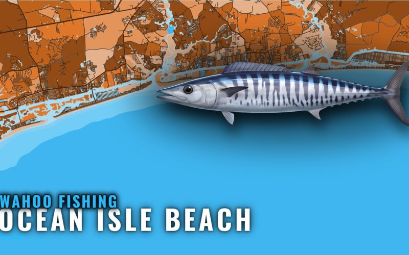 Wahoo Fishing Out of Ocean Isle Beach: Season and Grounds