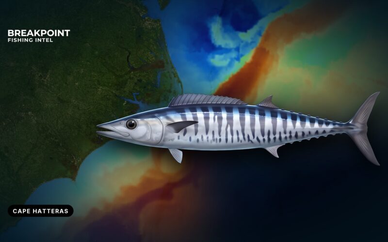 Wahoo Fishing off Cape Hatteras: Inlet, Rocks and Rules