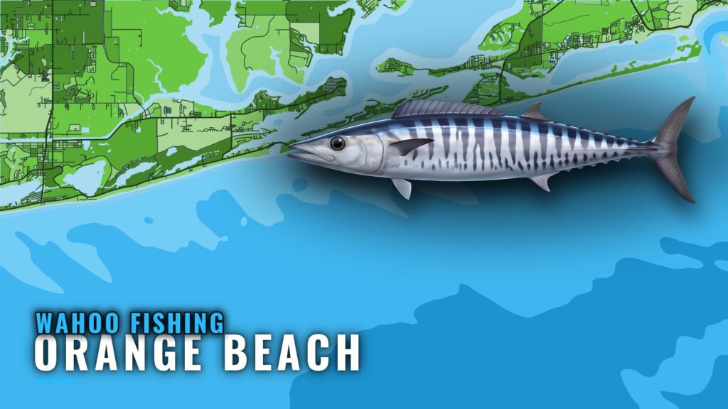 Wahoo Fishing Out of Orange Beach: Structure and Timing
