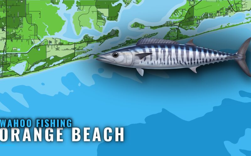 Wahoo Fishing Out of Orange Beach: Structure and Timing