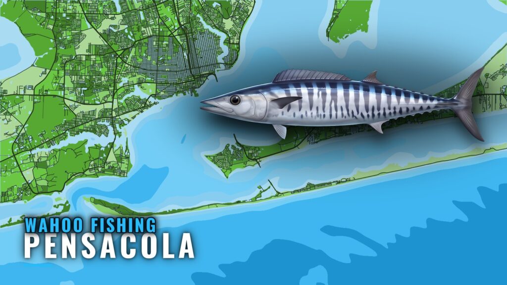 Wahoo Fishing Out of Pensacola: Runs, Reefs and Charters