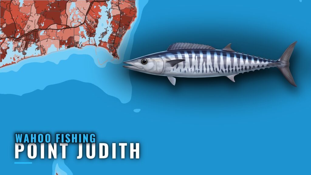 Wahoo Fishing Out of Point Judith: Weed Lines and Grounds