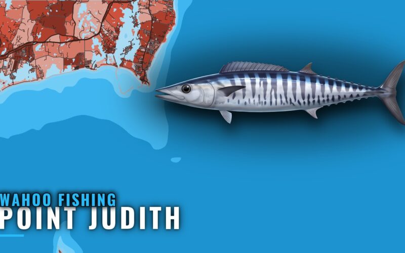 Wahoo Fishing Out of Point Judith: Weed Lines and Grounds