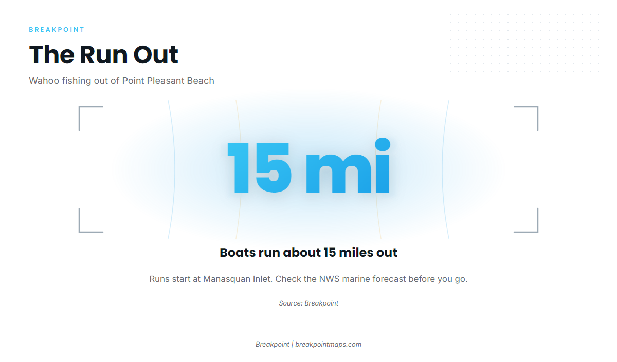 Where boats run from Point Pleasant Beach